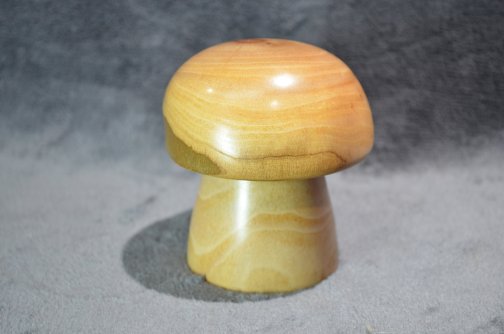 Elm wood turned mushroom paper weight